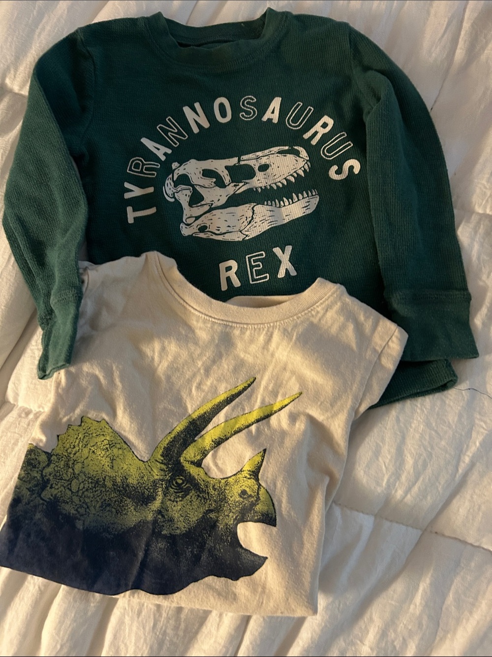 Jumping Beans T-Rex Green Long-Sleeve Kids Top and Maximus Rex Short Sleeves